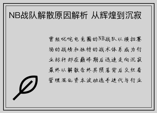 NB战队解散原因解析 从辉煌到沉寂