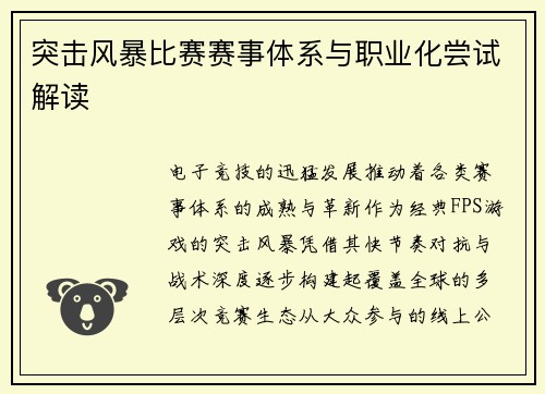 突击风暴比赛赛事体系与职业化尝试解读