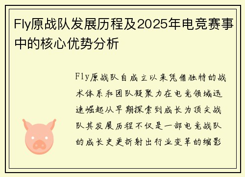 Fly原战队发展历程及2025年电竞赛事中的核心优势分析